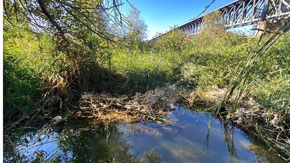 Vertidos fecales al Duero a la altura de los Tres Árboles. | PSOE