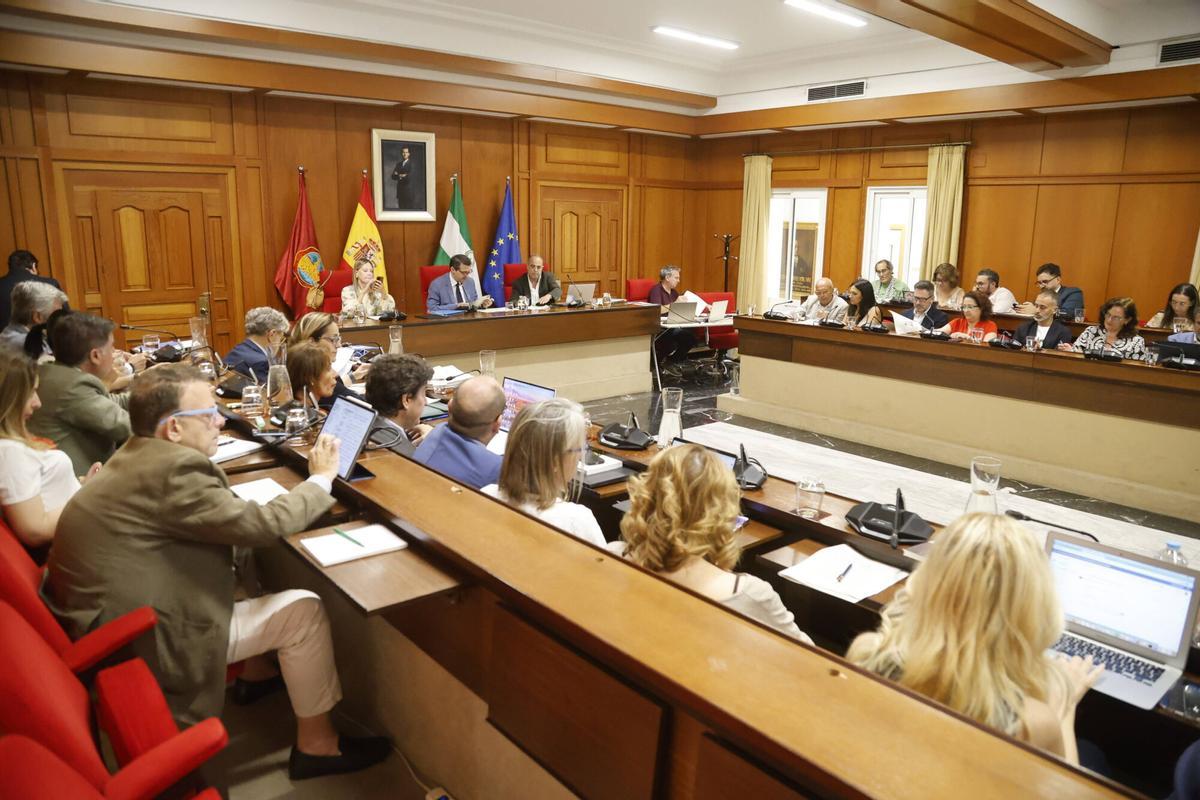 A.J.González Córdoba Pleno del Ayuntamiento del mes de Junio