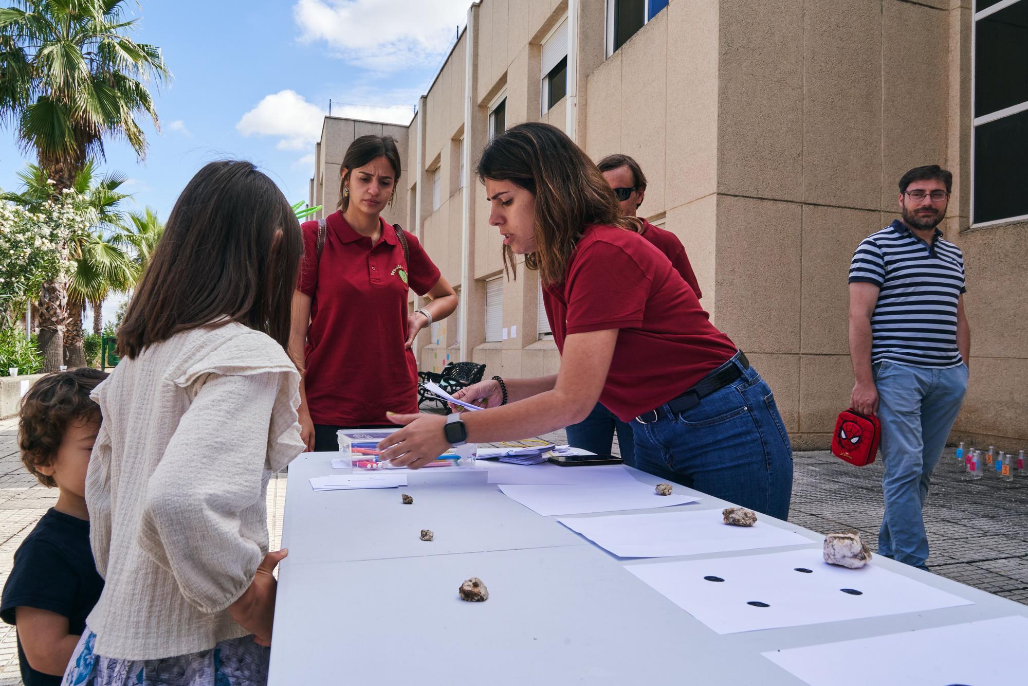 Fotogalería | Cáceres acoge el torneo de robots 'Ceresteam. World Robot Olympiad'