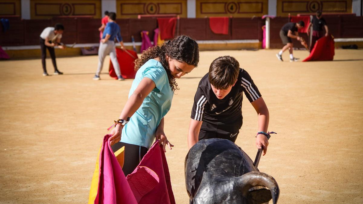 Alumnos de la Escuela de Tauromaquia de Badajoz en la plaza de toros pacense. Foto de archivo.