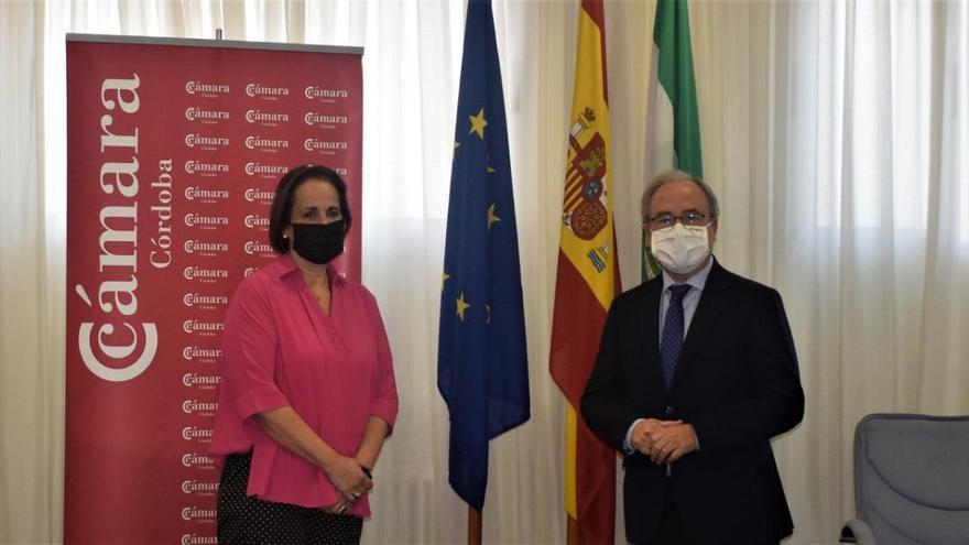 El Imdeec y la Cámara de Comercio de Córdoba buscan sinergias para impulsar el emprendimiento