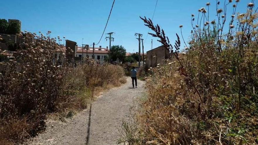 Uno de los caminos sin desbrozar en los alrededores de Olivares.