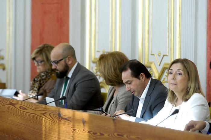 PLENO AYUNTAMIENTO LAS PALMAS DE GRAN CANARIA