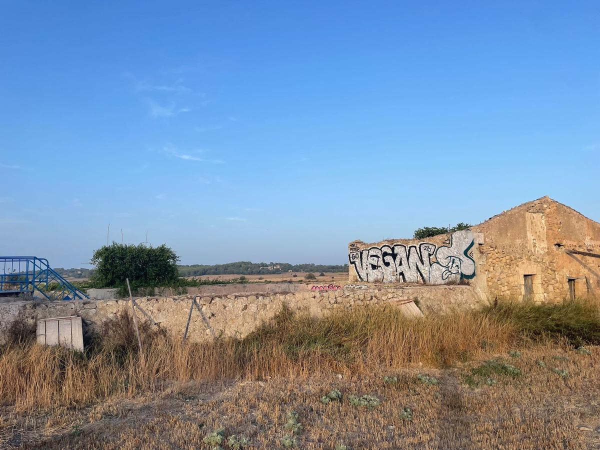 Los organizadores del Rock 'n' Rostoll condenan los grafitis en el escenario ‘Safareig’