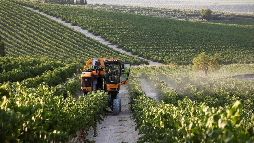 La Junta dice que ya hay excepción en no usar la mascarilla para labores del campo