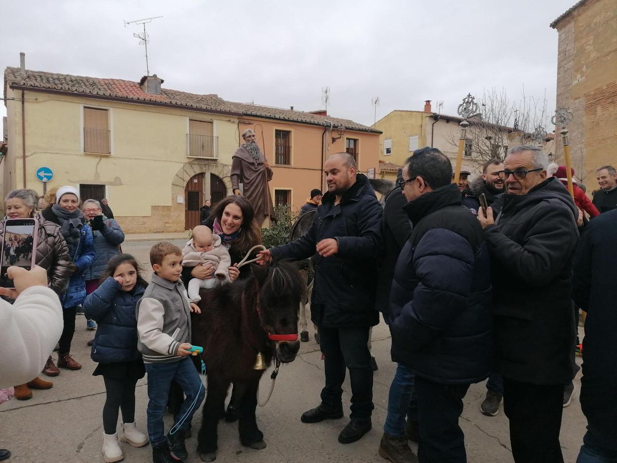 GALERÍA | San Antón procesiona por primera vez en Toro