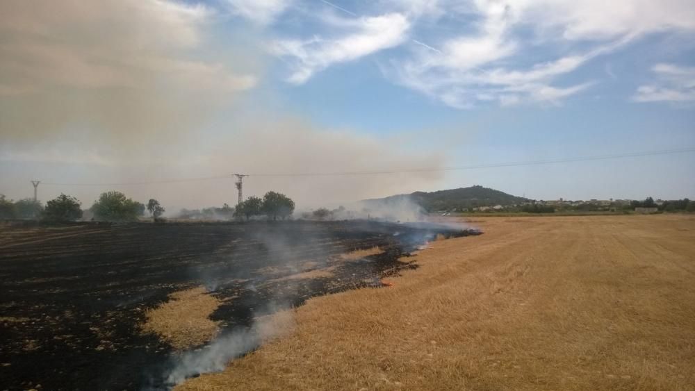 Incendio en Petra