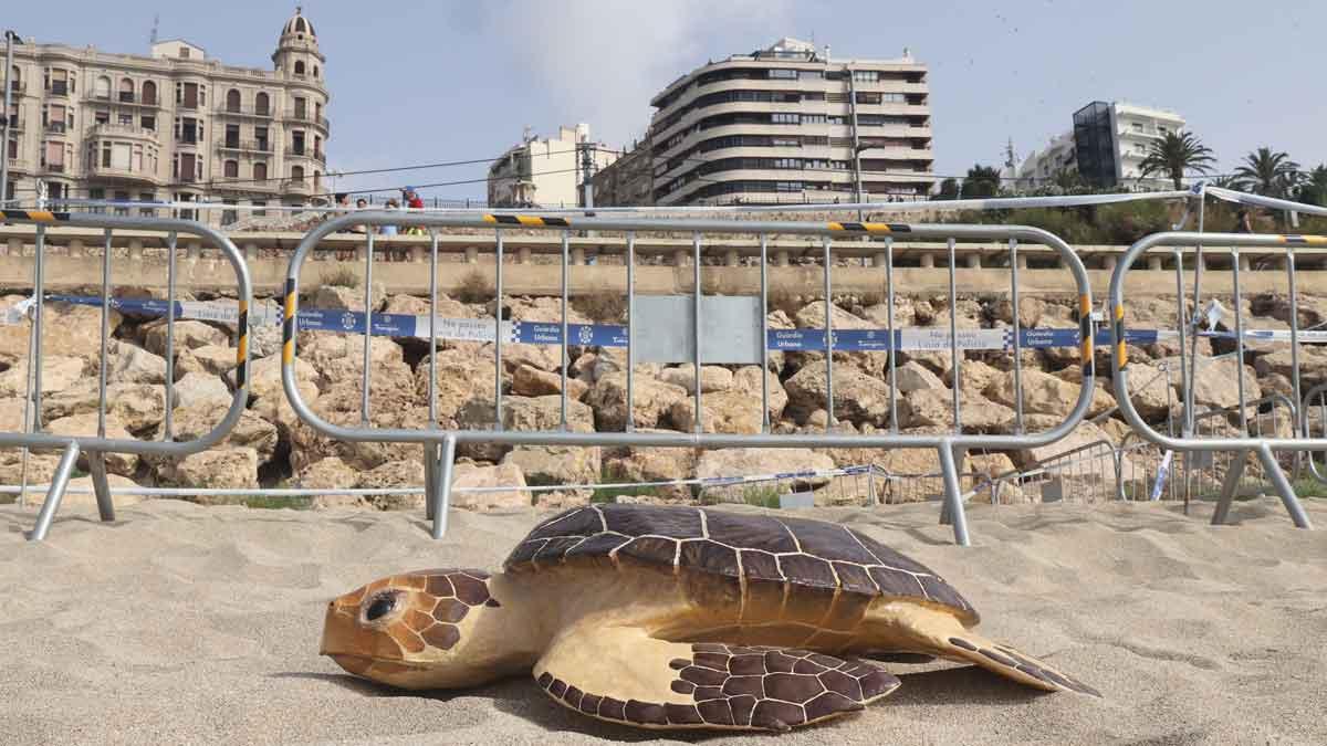 Nido de tortuga boba en la playa del Miracle de Tarragona y voluntarios vigilando el área