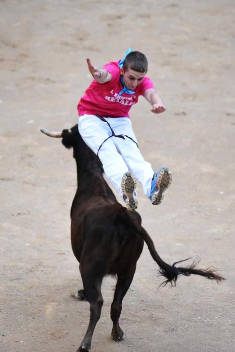 Corre de bou de Cardona