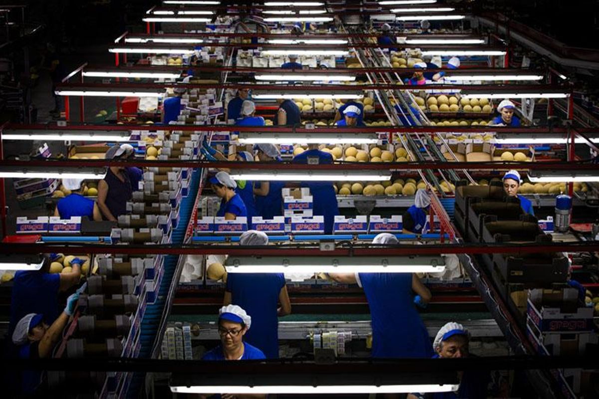 Instalaciones de producción en Gregal