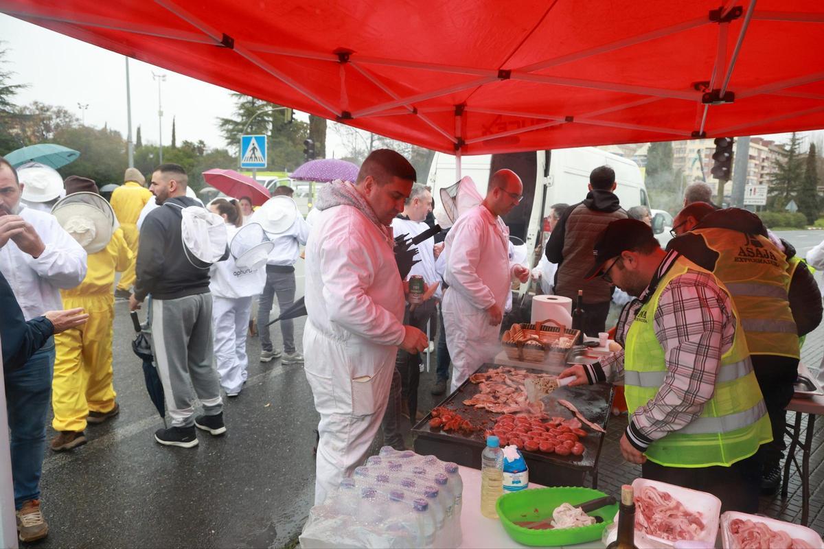 Fotogalería | Imágenes de la tractorada en Cáceres, este miércoles