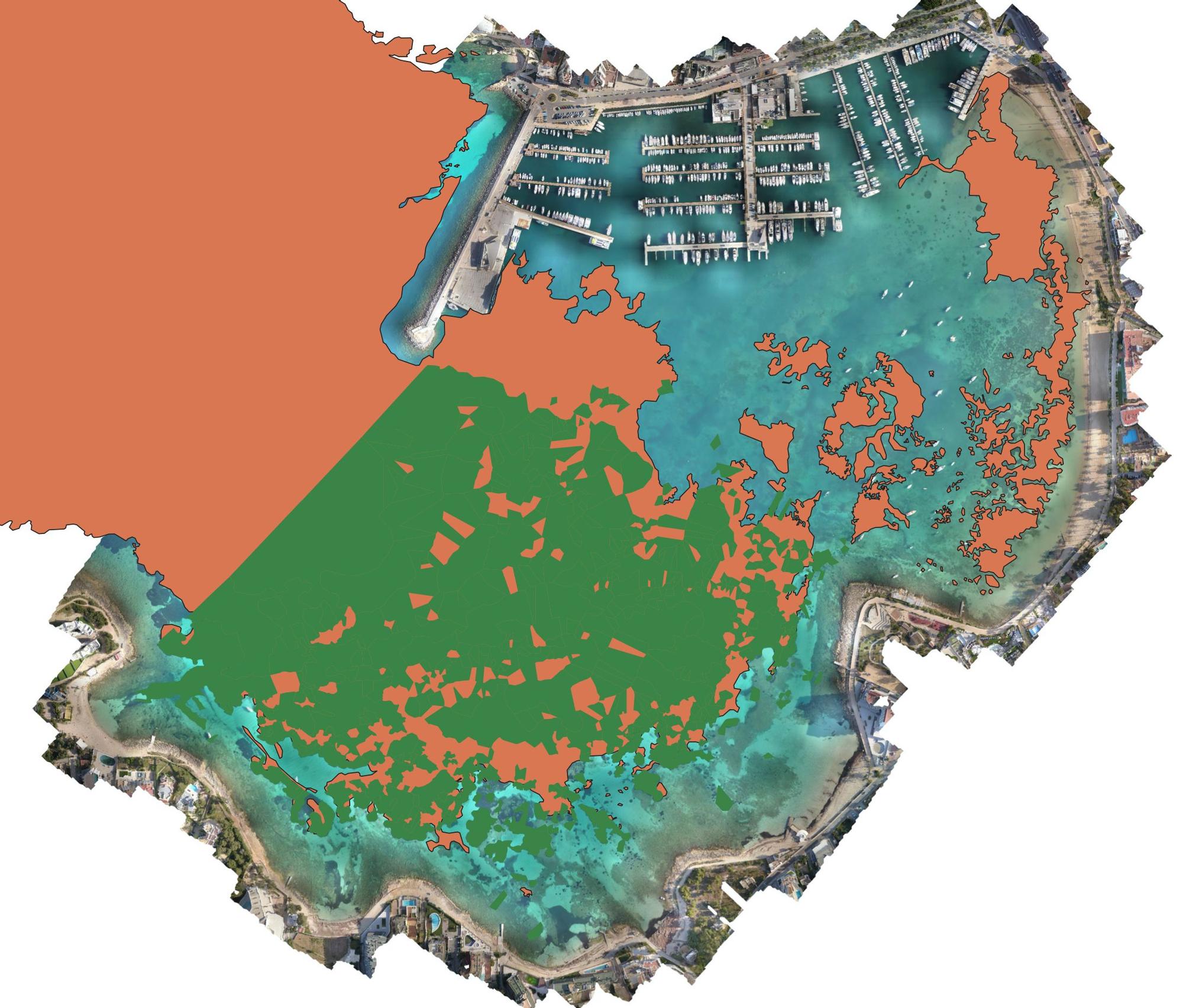 En naranja la Posidonia que quedaba en la bahía en 2008, según la topografía realizada por el Ministerio de Transición Ecológica. En verde la Posidonia que queda en la actualidad. La franja más afectada es la situada en el entorno del muelle comercial.