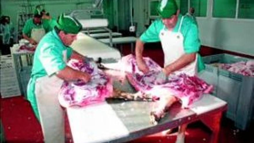 Extremadura, líder en Ibéricos con sello de calidad Aenor