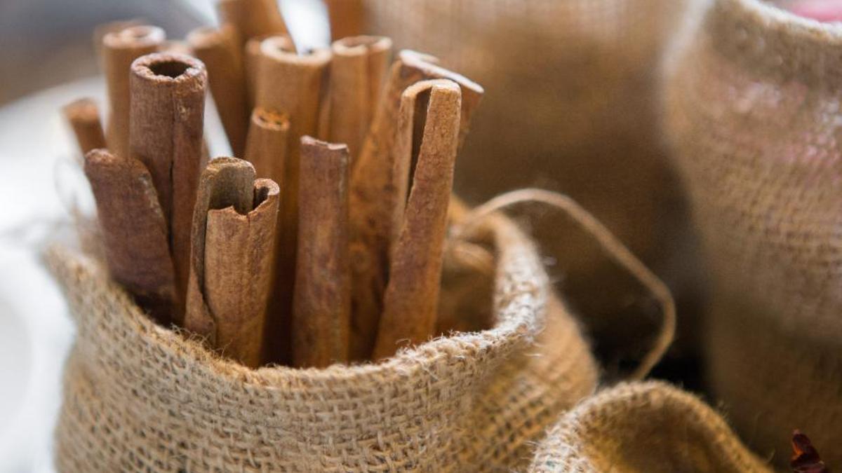 Canela en palo