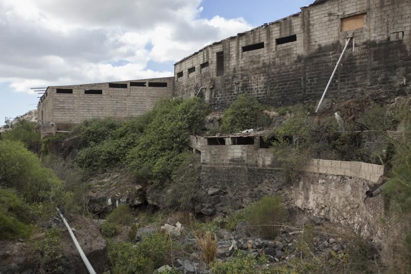 Finca de Arona donde han hallado animales muertos