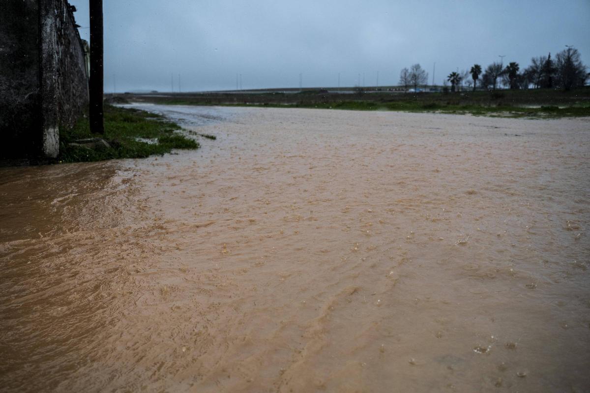 Fotogalería | La borrasca Marta anega las calles de la Charca Musia