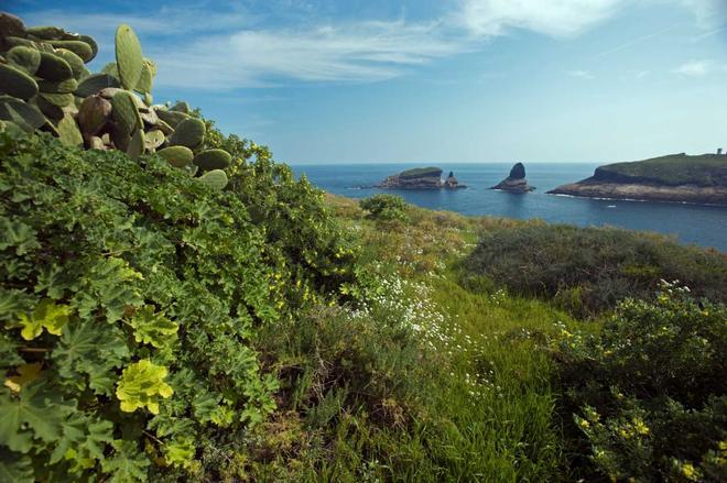 Naturaleza en Islas Columbretes