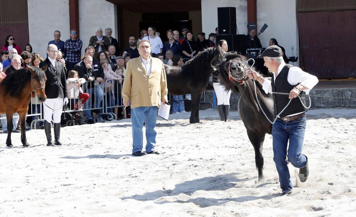 Un concurso celebrado en la feira cabalar del pasado año