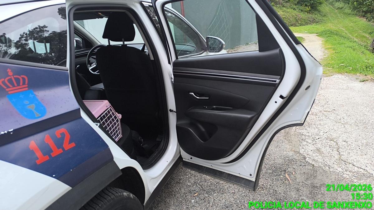El trasportín, con el gato, en un coche municipal tras el abandono