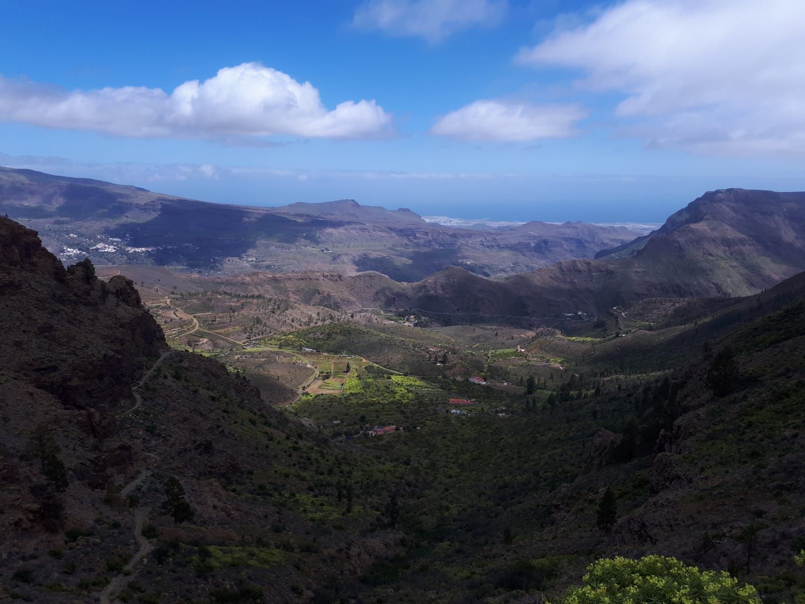 La primavera en Gran Canaria