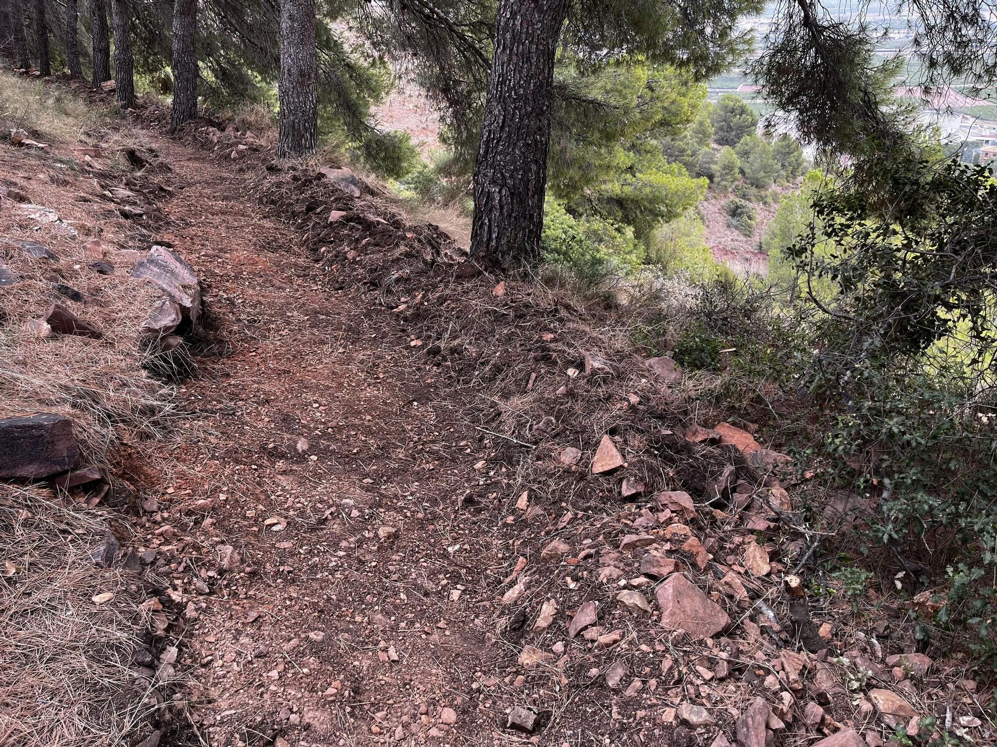 Las imágenes de la pista ilegal abierta en la Vilavella para practicar BTT