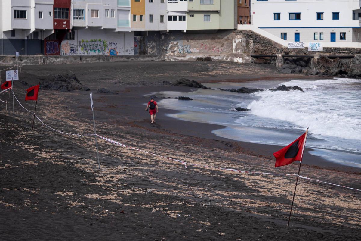Imagen de archivo de Playa Jardín en pleno cierre por contaminación