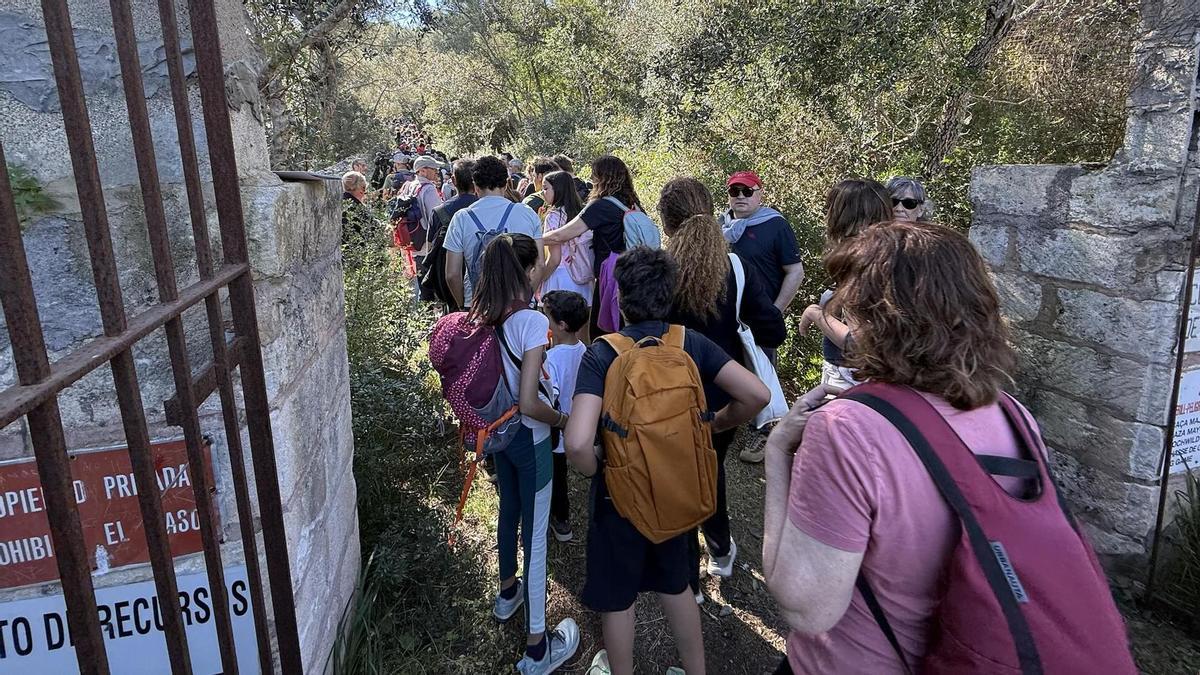 FOTOS | La 'Berena' más reivindicativa de Manacor, en imágenes