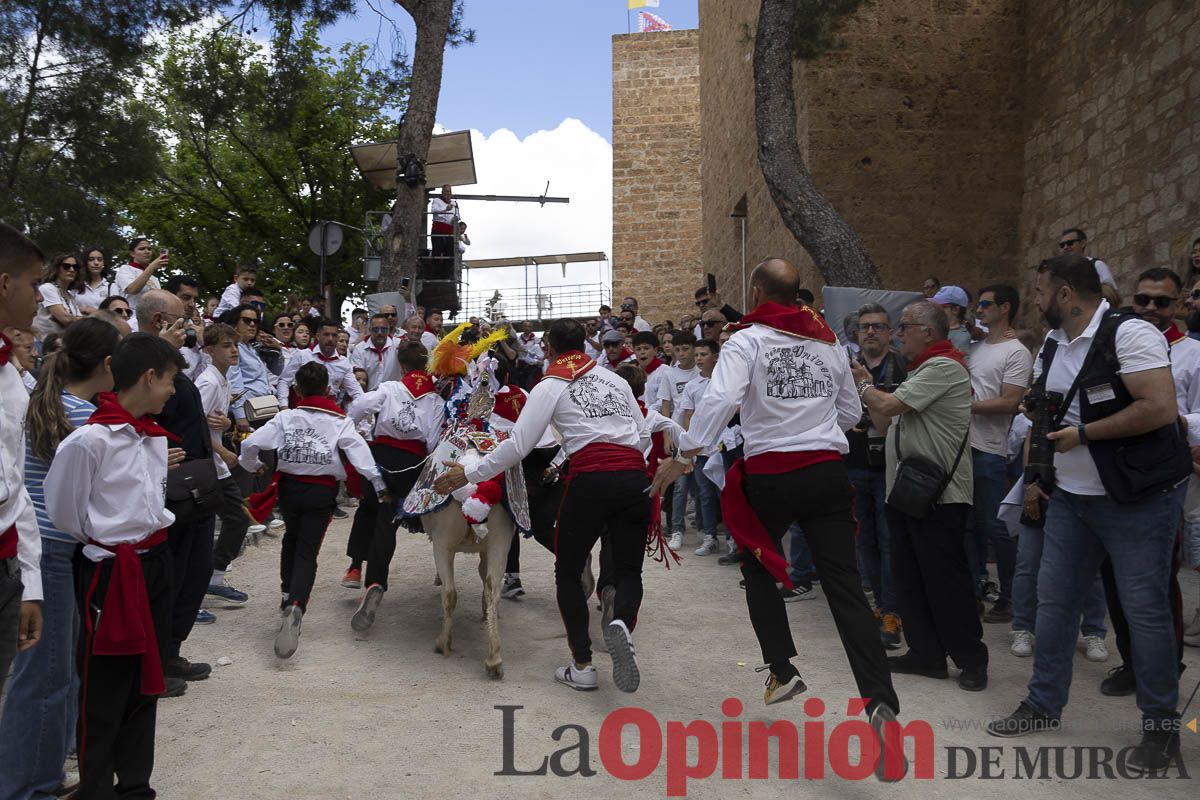 Fiestas de Caravaca | Desfile infantil del Bando de los Caballos del Vino