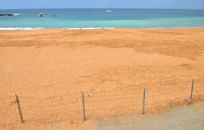 PLAYA TAURO ANFI