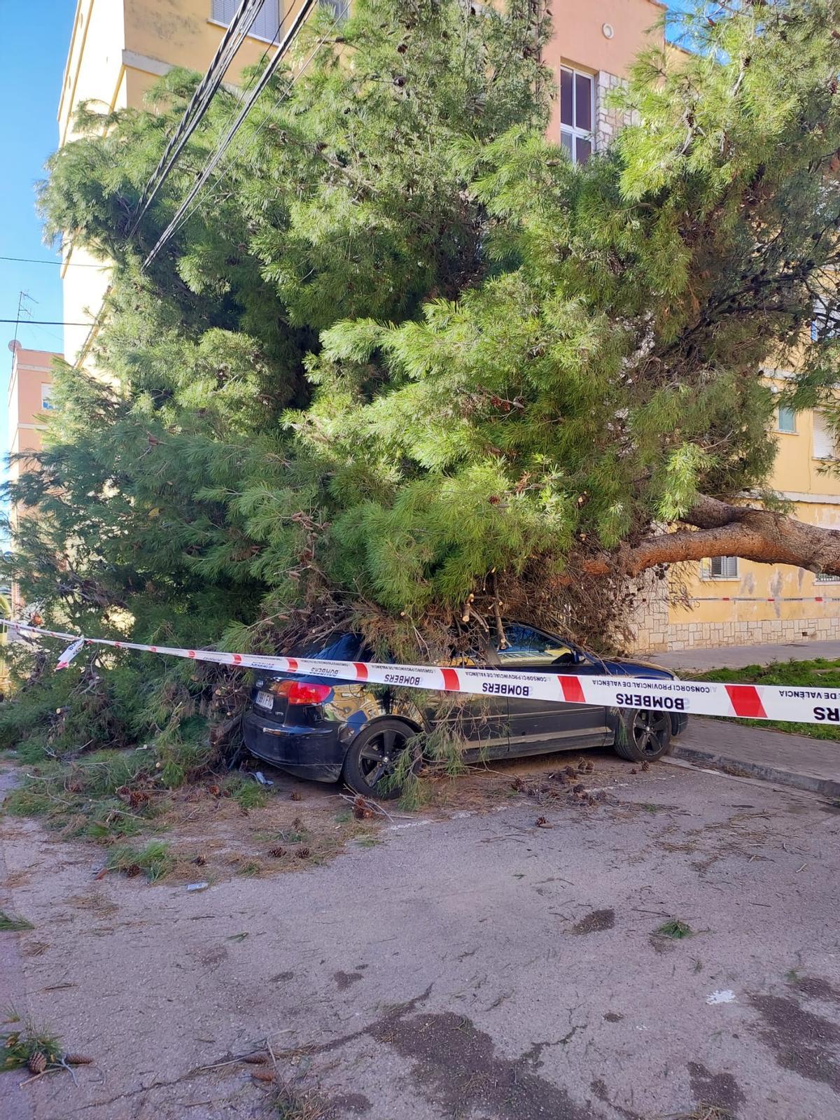 El viento ha tumbado un árbol en Port de Sagunt, que ha acabado aplastando un coche