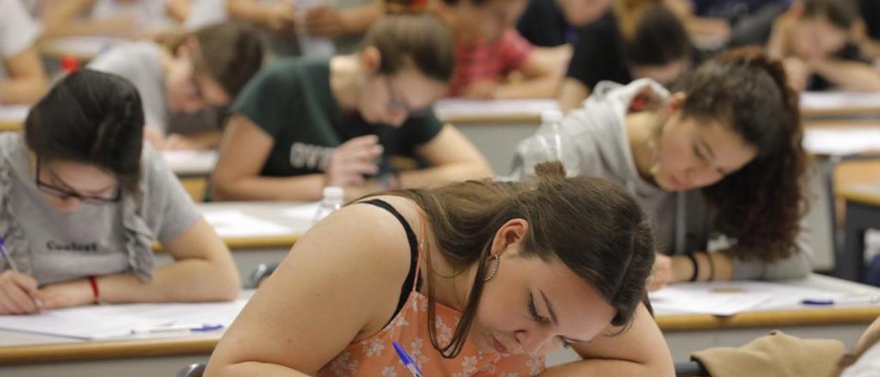 Marzà logra 2.376 sustitutos de Matemáticas y Física pero sigue sin docentes de Valenciano