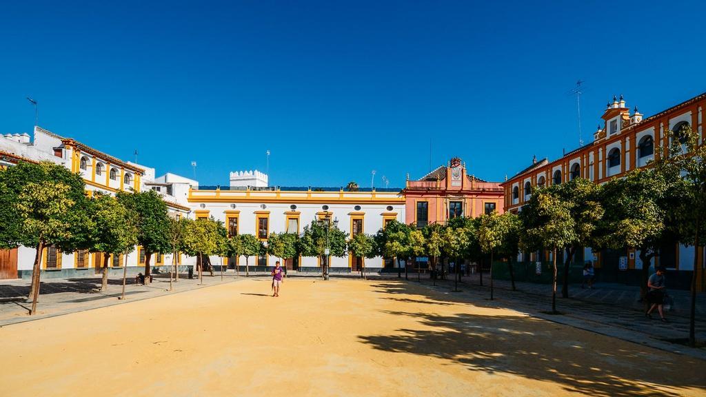 Los naranjos del Patio de Banderas, Sevilla. 