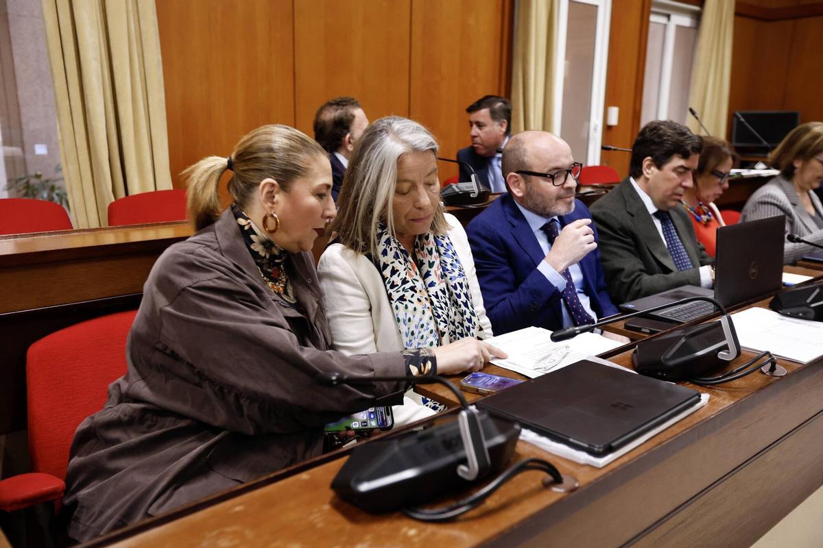Isabel Albás, presidenta del IMAE, habla con Eva Contador antes del pleno. José María Bellido, preside el Pleno extraordinario. En el Salón de Plenos