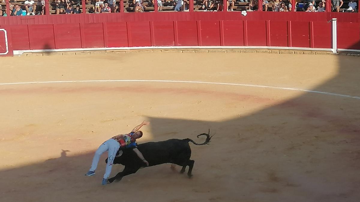 Un novillo golpea en la espalda al recortador de Vezdemarbán Dany Alonso