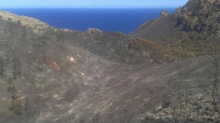 Zona cero del incendio en Mallorca