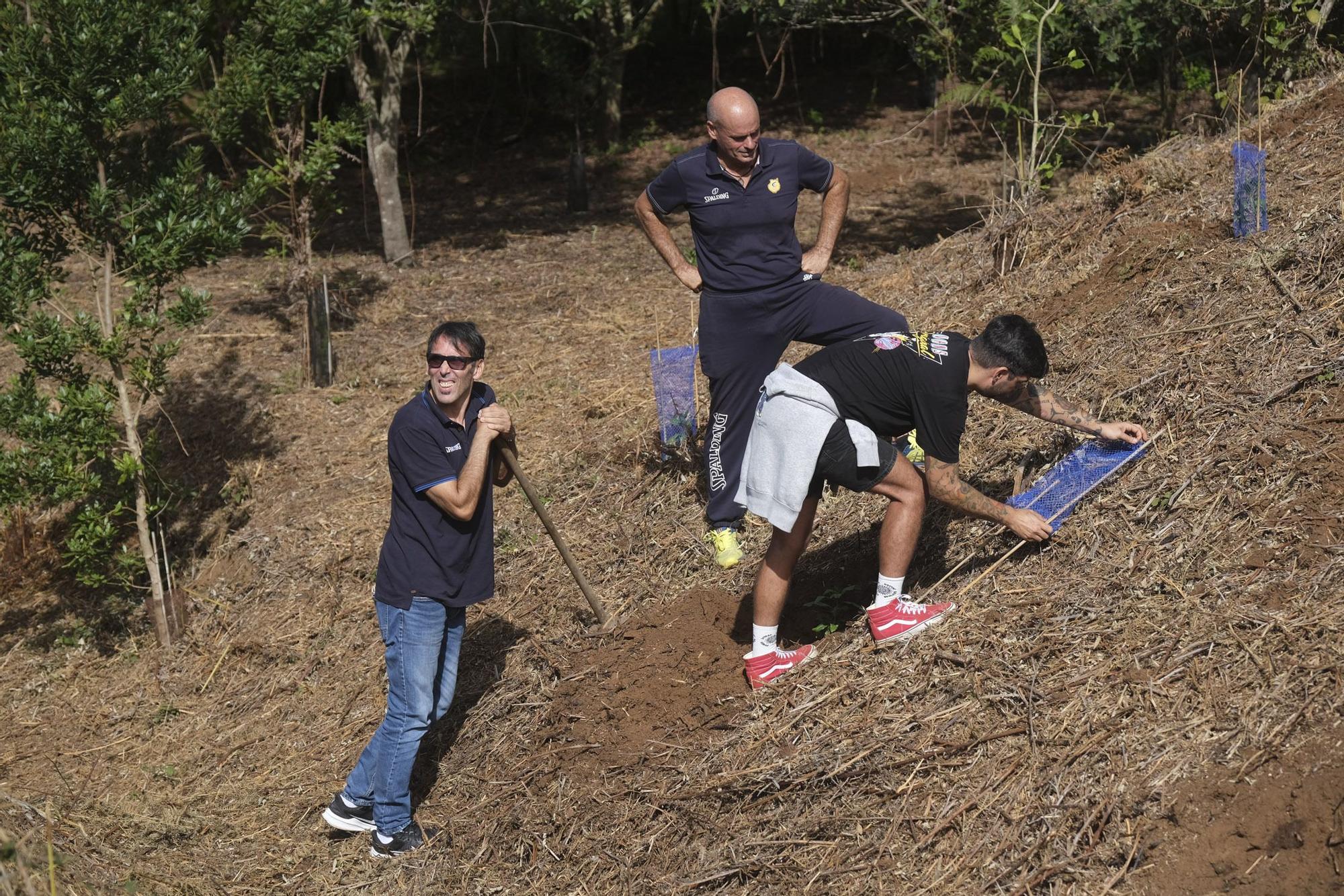 Reforestación 'Compromiso Granca'