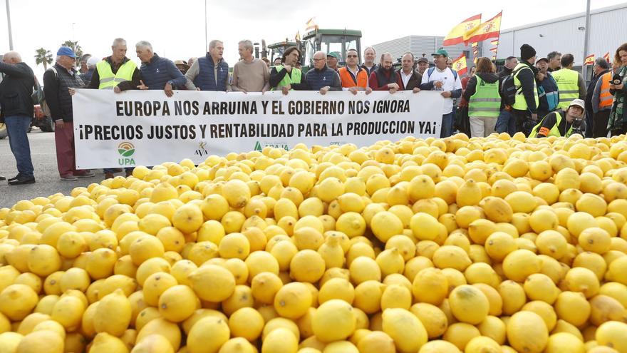 Más de 400 tractores visibilizan la &quot;ruina&quot; del campo en la provincia con marchas sin cortar autovías