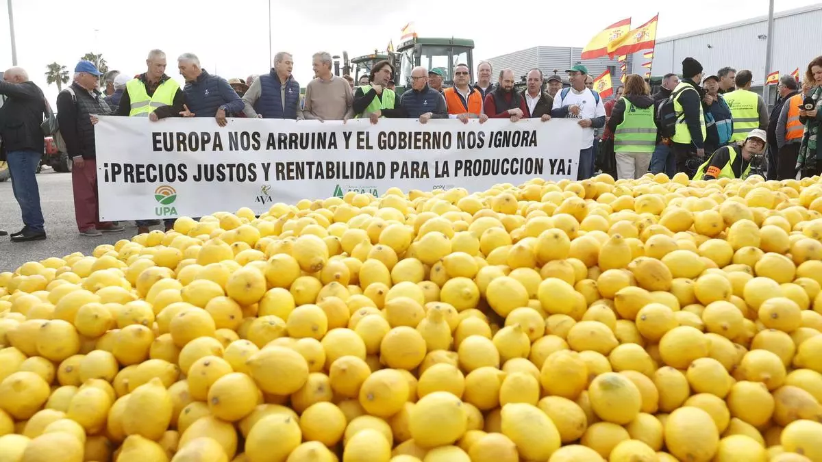 Más de 400 tractores visibilizan la "ruina" del campo en la provincia con marchas sin cortar autovías