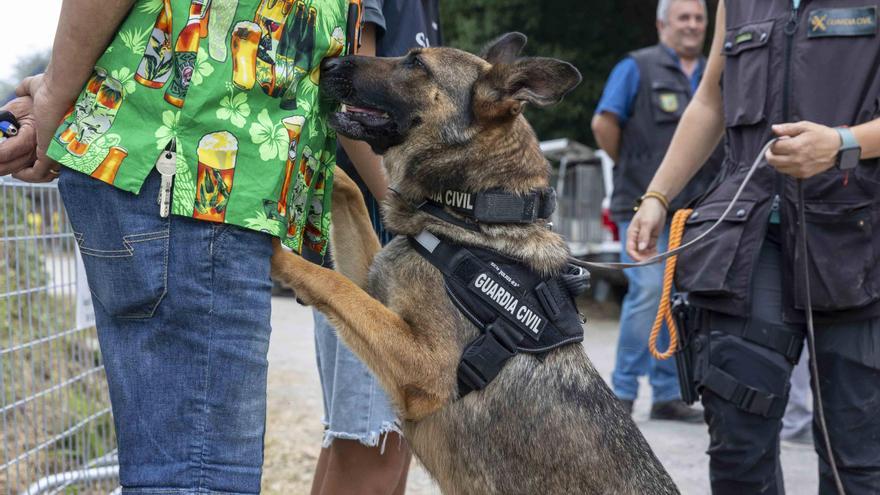 Macrodespliegue por el Xiringüelu: la Guardia Civil despliega a 230 agentes para garantizar la seguridad de la fiesta