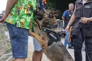 Macrodespliegue por el Xiringüelu: la Guardia Civil despliega a 230 agentes para garantizar la seguridad de la fiesta