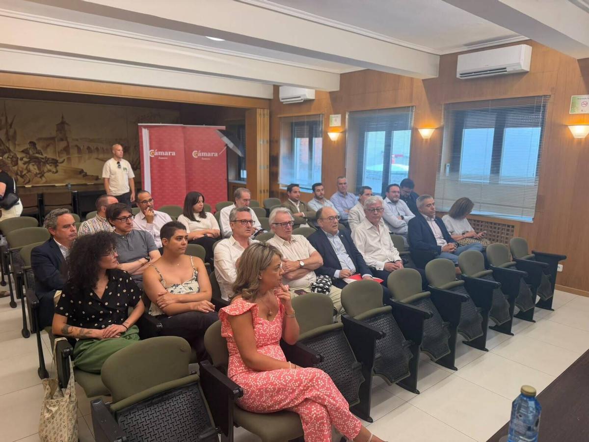 Pleno Constituyente de la Cámara de Zamora