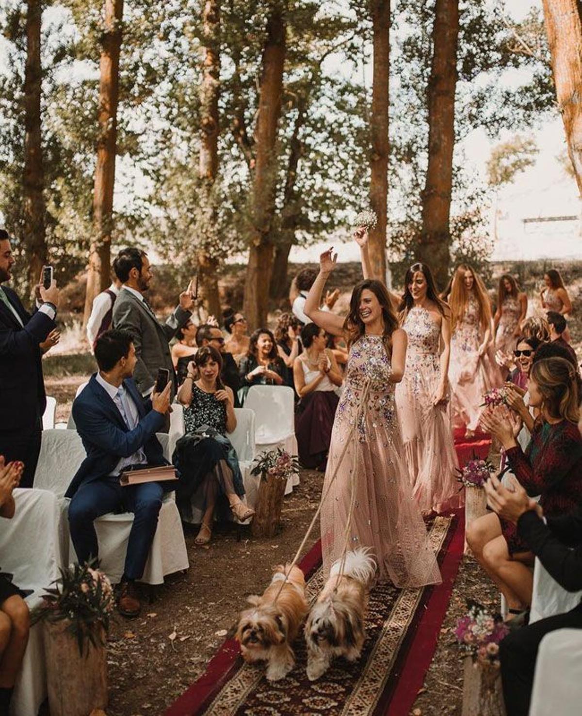 Las damas de honor de la boda de la hermana de Kira Miró con sus perros