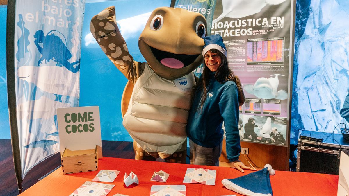 Vuelve a Oceanogràfic "Navidad bajo el Mar"