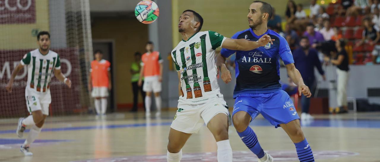 El Córdoba Futsal se conecta a la Primera División con una lección de  cohesión - Diario Córdoba