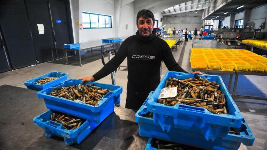 Un navalleiro en la lonja de Vilanova. |   //  IÑAKI ABELLA