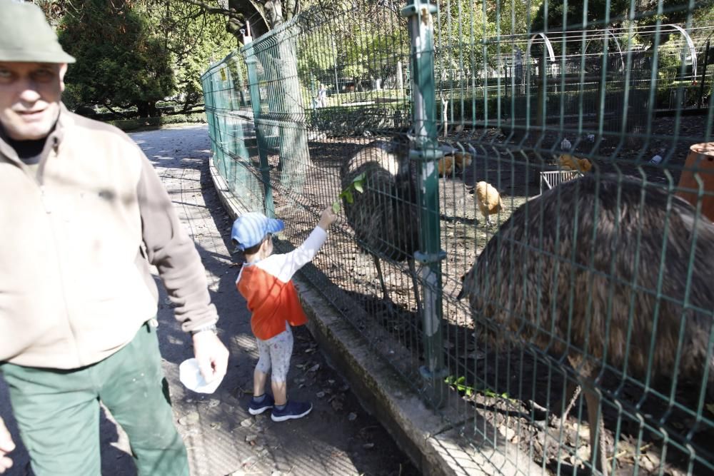 El parque Isabel la Católica supera las 600 aves