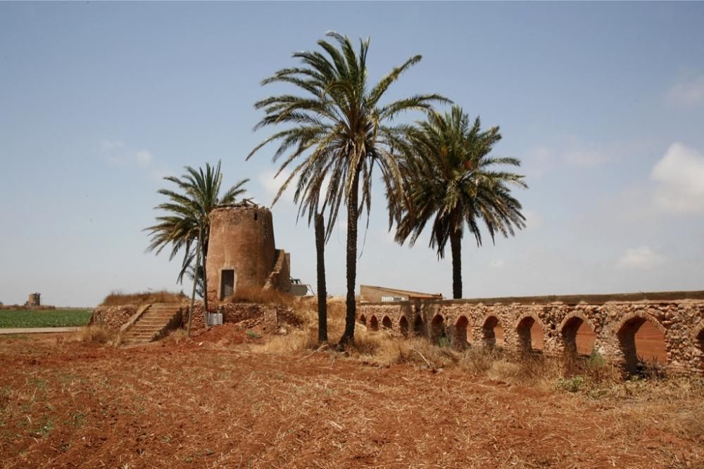 Molinos en Peligro de Extinción