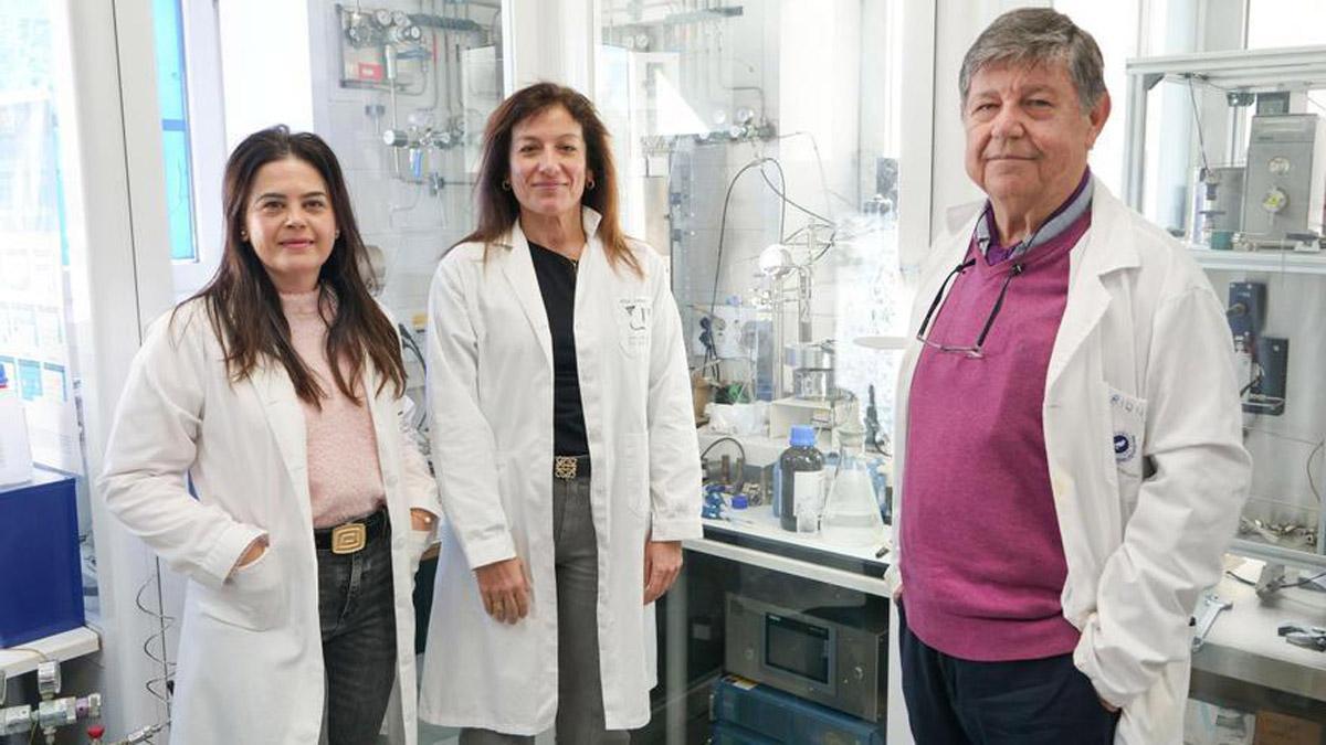 La catedrática Olga Guerrero Pérez y la profesora M. Cruz López Escalante, del Departamento de Ingeniería Química, son las científicas de la UMA coautoras de este trabajo junto al catedrático de la Facultad de Ciencias, Enrique Rodríguez Castellón.