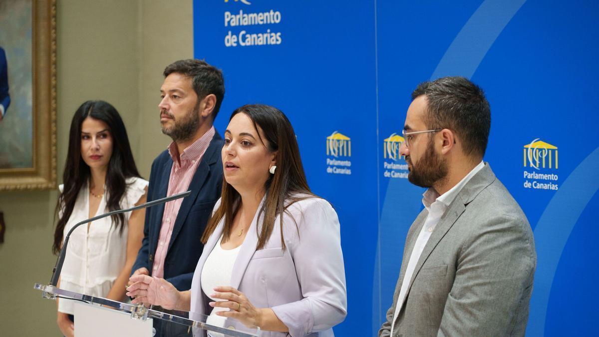 Los grupos que apoyan al Gobierno de Canarias (CC, PP, ASG y AHI) defienden el proyecto de Ley Canaria de Ciencia.