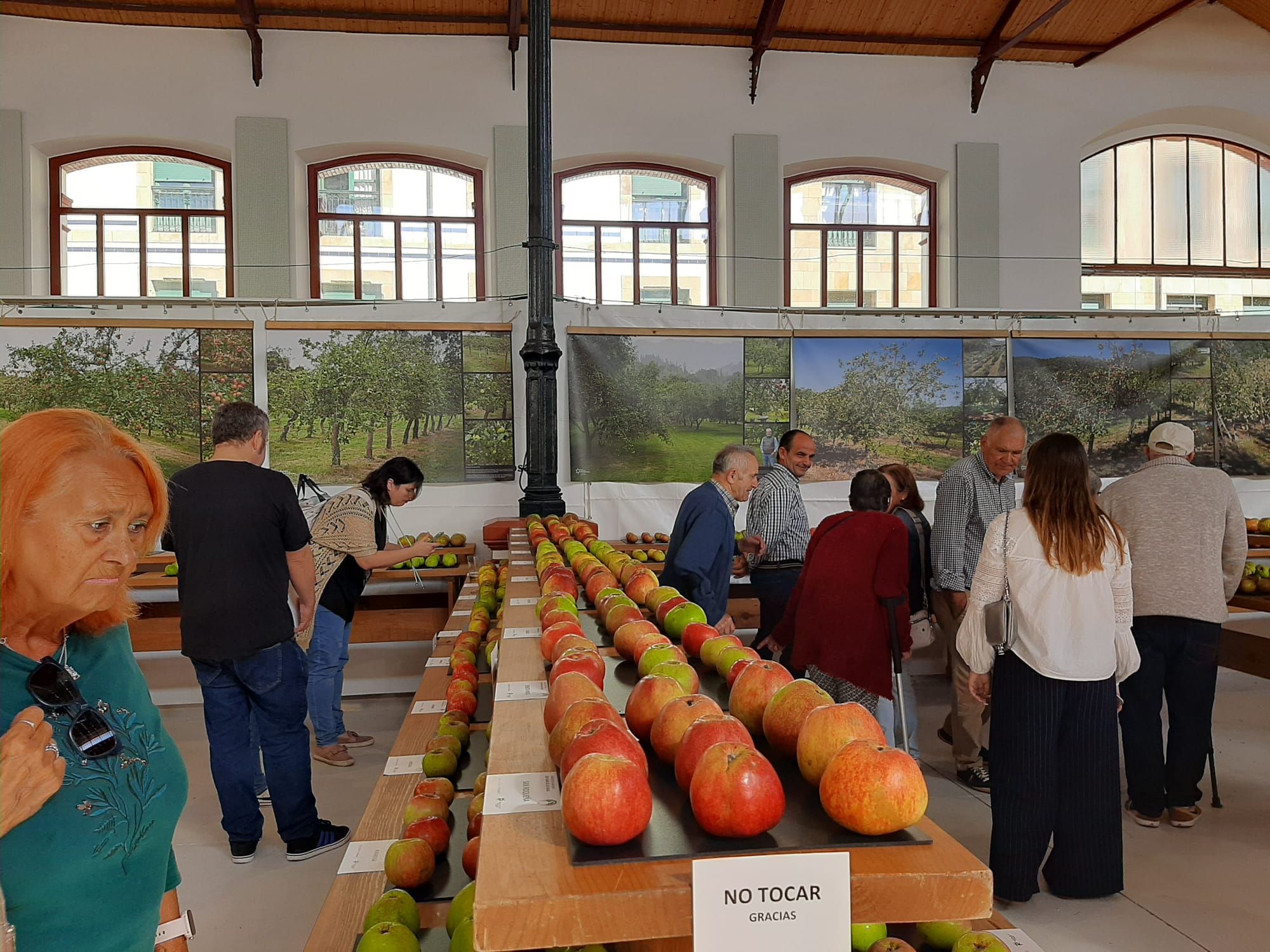 Los premios del Festival de la Manzana de Villaviciosa, en imágenes